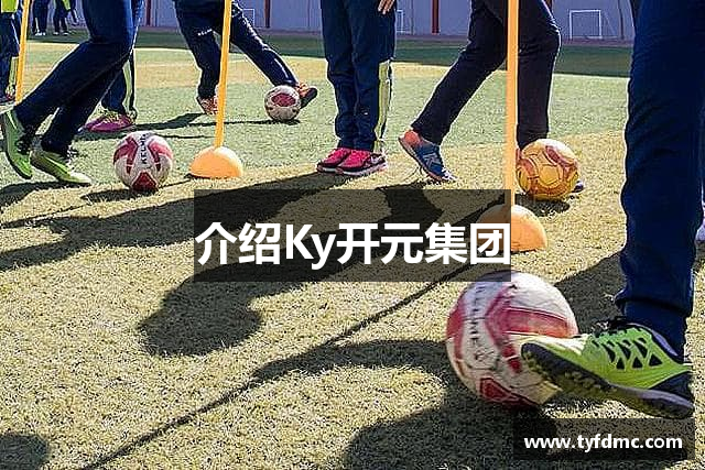 介绍Ky开元集团